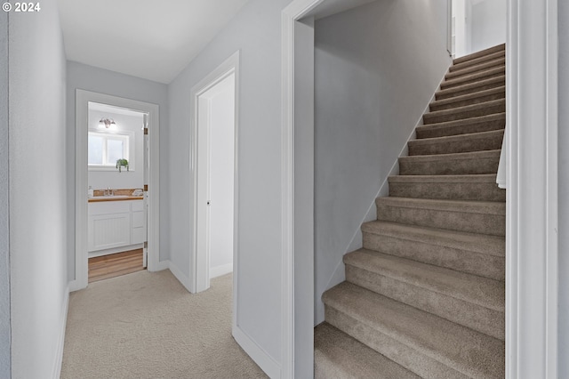 stairway featuring carpet flooring and sink