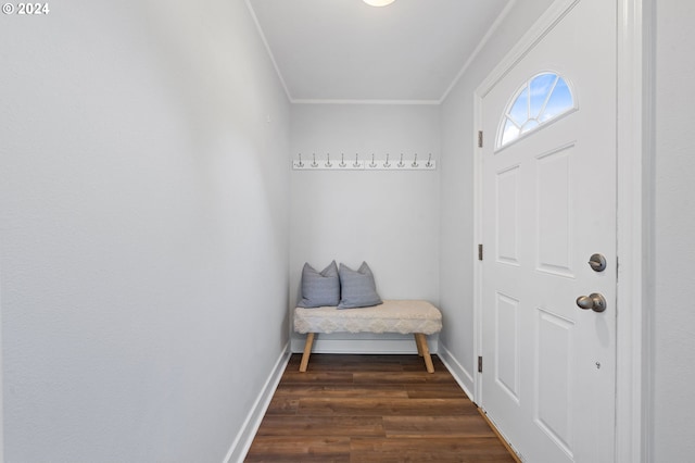 foyer entrance featuring dark wood-type flooring and crown molding