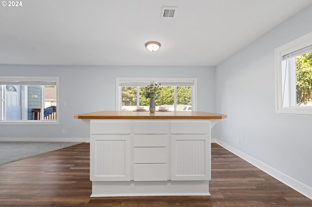 interior space featuring dark hardwood / wood-style floors and plenty of natural light