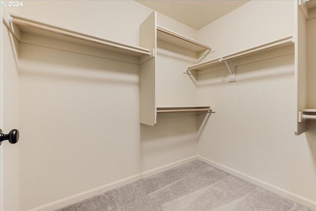 walk in closet with carpet floors