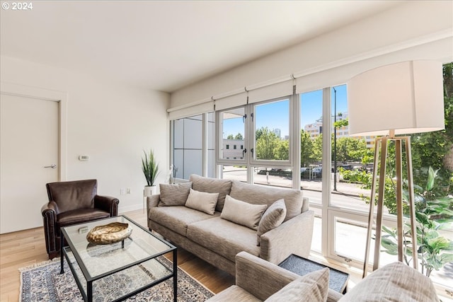 living room featuring hardwood / wood-style floors