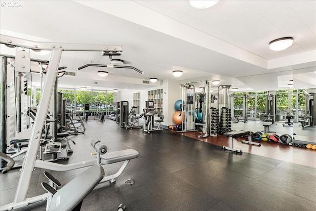 gym featuring a wealth of natural light