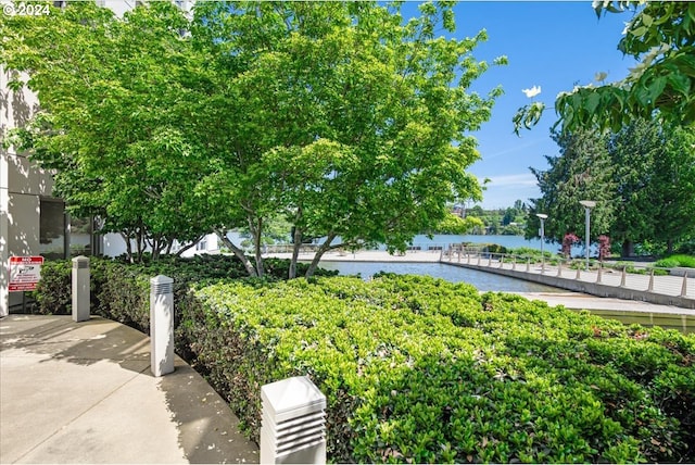 view of community featuring a water view