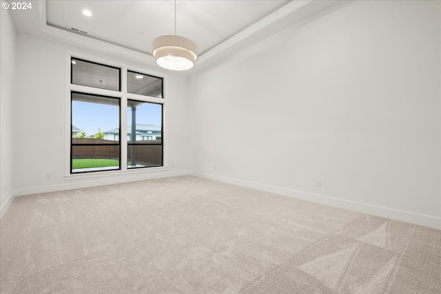 spare room with a raised ceiling and carpet