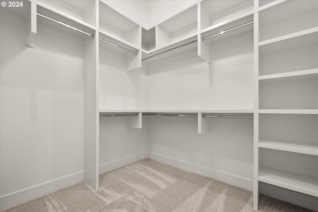 spacious closet featuring carpet floors