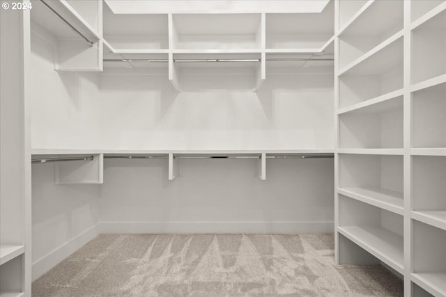 spacious closet featuring light colored carpet