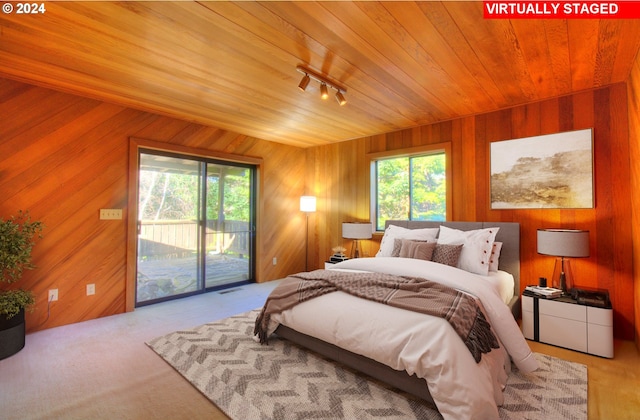 bedroom featuring access to exterior, light carpet, rail lighting, and multiple windows