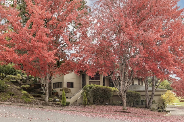 view of property hidden behind natural elements