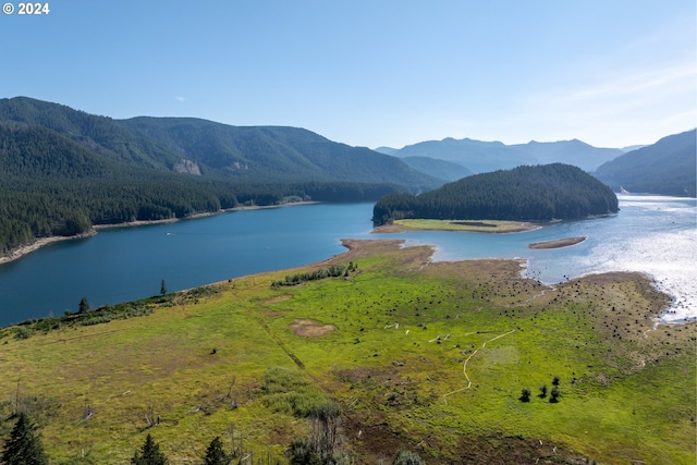 property view of water with a mountain view