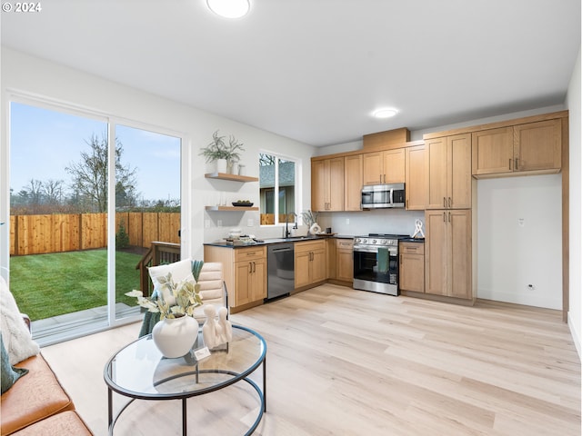 kitchen featuring appliances with stainless steel finishes, light hardwood / wood-style flooring, and sink