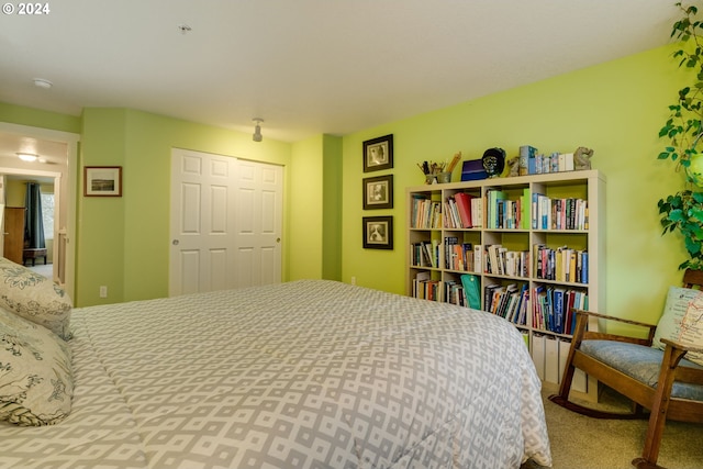 carpeted bedroom featuring a closet