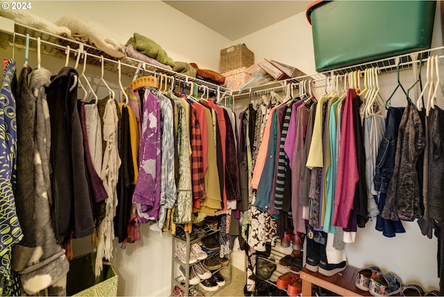 spacious closet featuring carpet flooring