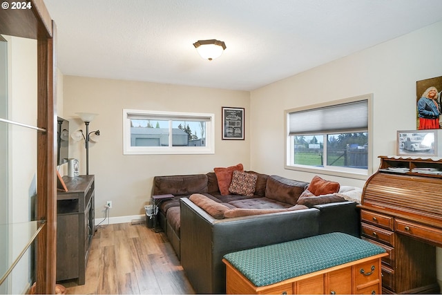 living room with hardwood / wood-style floors