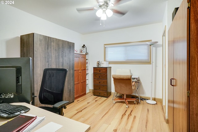 office featuring light hardwood / wood-style flooring and ceiling fan