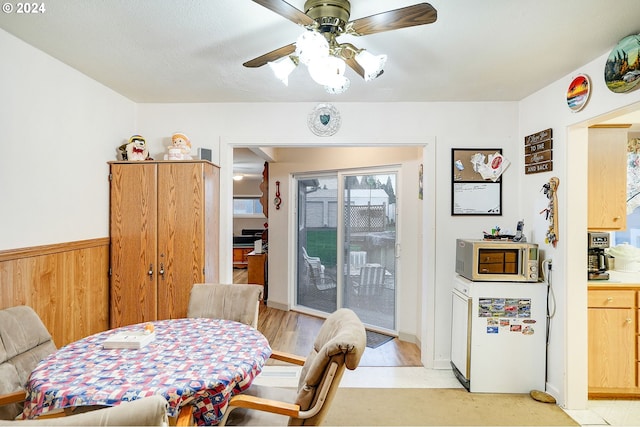 dining area with wood walls, light hardwood / wood-style flooring, and ceiling fan