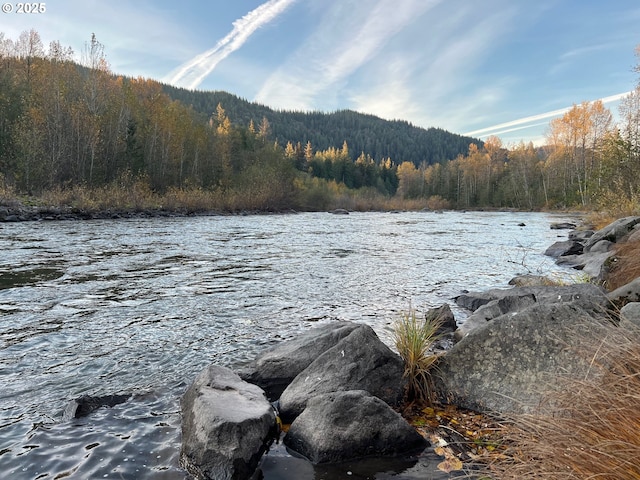 water view with a forest view