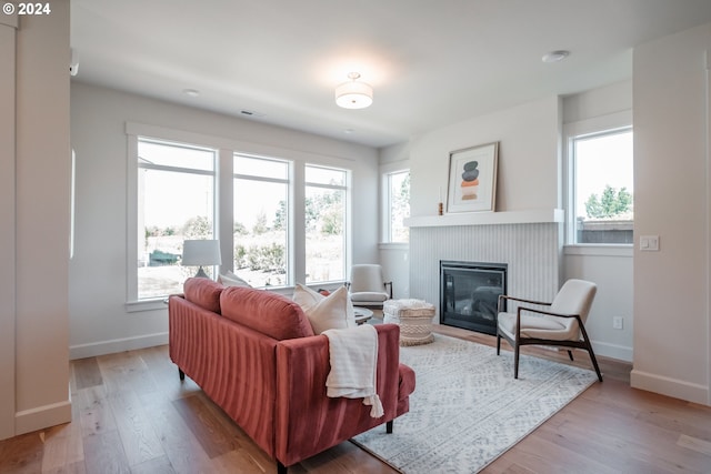 living room with light hardwood / wood-style floors