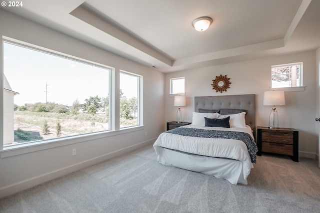 carpeted bedroom with a raised ceiling