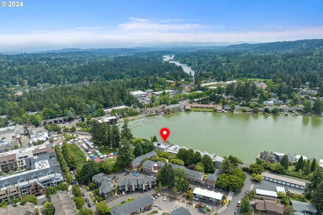 birds eye view of property with a water view and a view of trees