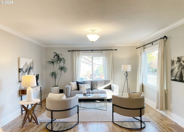 living room featuring hardwood / wood-style floors, a textured ceiling, and ornamental molding