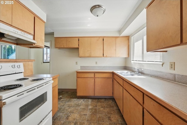18495 SW Springfield St, Beaverton, OR 97078 - kitchen featuring electric stove, a sink, healthy amount of natural light, and light countertops