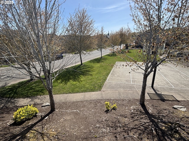 834 NW 3rd Ave, Canby, OR 97013 - view of green lawn