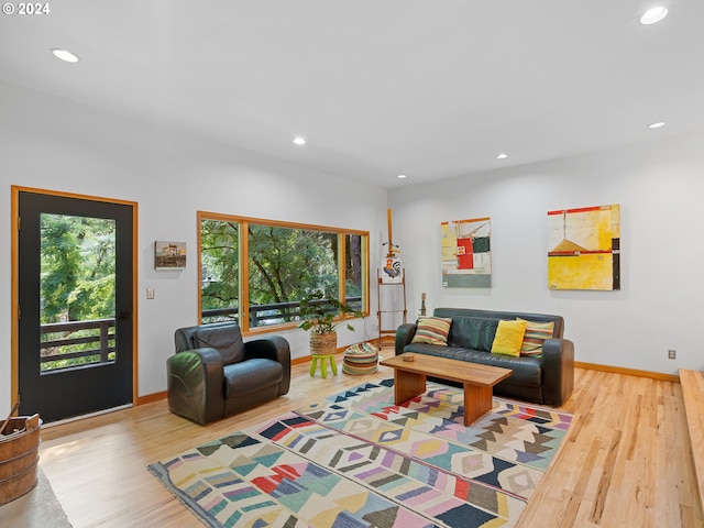 living room featuring wood-type flooring