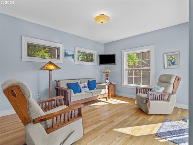 sitting room featuring light wood-type flooring