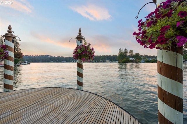 dock area featuring a water view