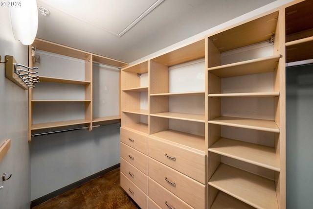 view of spacious closet