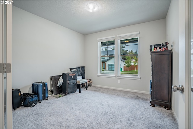 miscellaneous room featuring a textured ceiling and light colored carpet