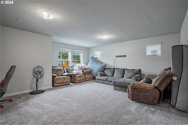 living room with a textured ceiling and carpet