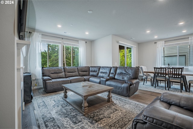 living room featuring light hardwood / wood-style floors