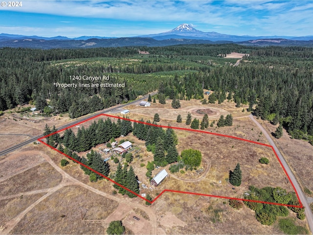 birds eye view of property featuring a mountain view and a view of trees