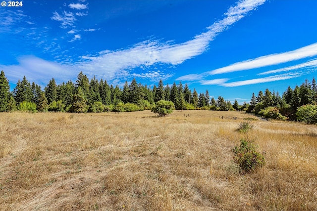 view of local wilderness featuring a rural view