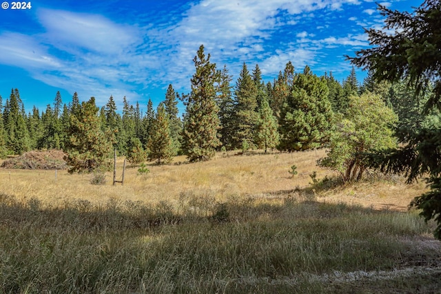 view of local wilderness