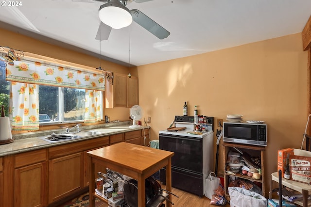 kitchen with light hardwood / wood-style flooring, white electric stove, ceiling fan, and sink