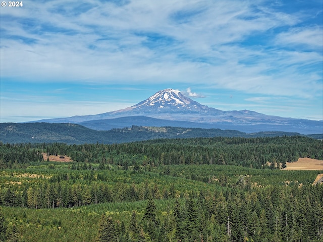 property view of mountains featuring a wooded view