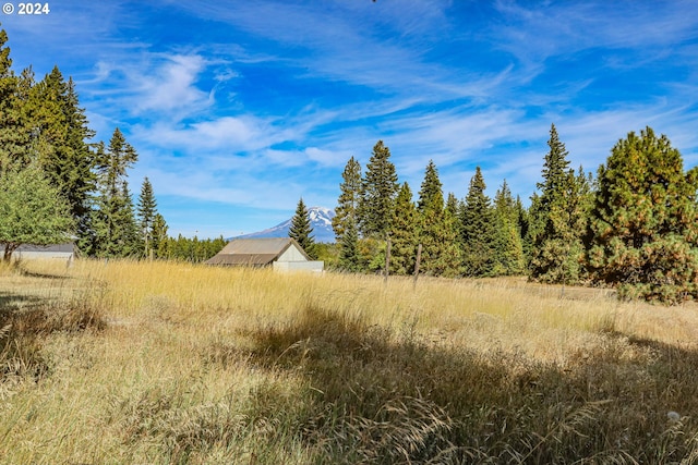 view of local wilderness