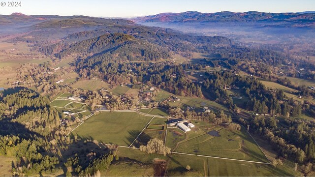 drone / aerial view featuring a mountain view