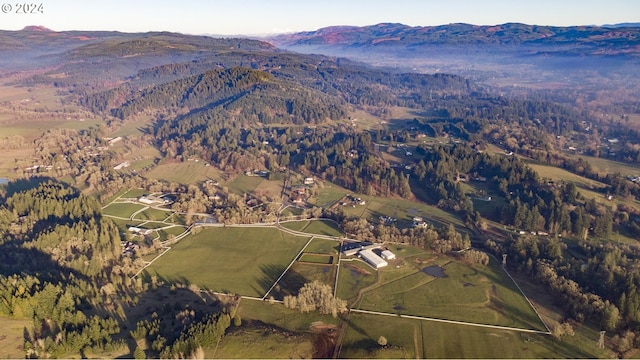 aerial view with a mountain view