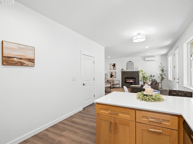 kitchen with dark hardwood / wood-style flooring, a wall mounted air conditioner, and stainless steel dishwasher