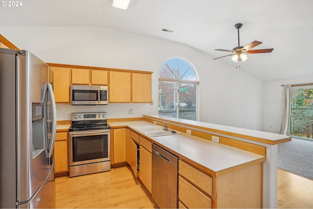 kitchen featuring appliances with stainless steel finishes, plenty of natural light, lofted ceiling, and sink