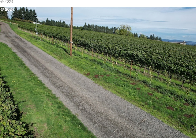 view of road with a rural view