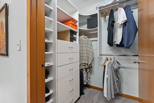 spacious closet featuring light carpet