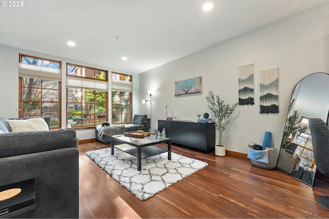 living room featuring dark wood-type flooring