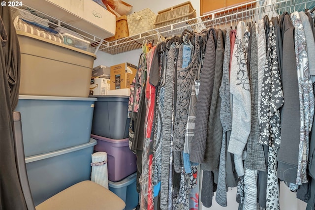 view of walk in closet