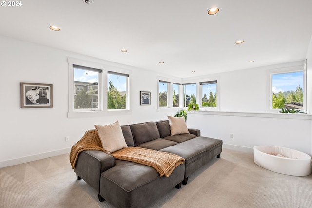 living room featuring light carpet