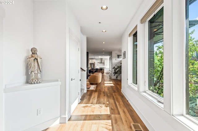 hall featuring hardwood / wood-style flooring and a wealth of natural light