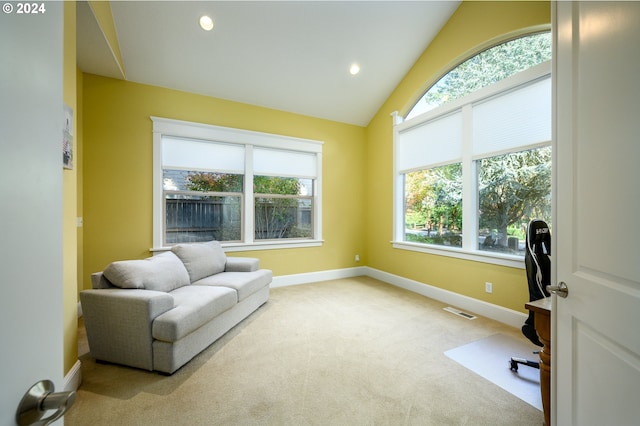 office with vaulted ceiling and light carpet